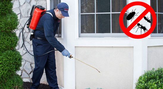 Nurdağı Bit İlaçlama böcek ilaçlama ve haşere kontrolü — ilaclama-tr.com